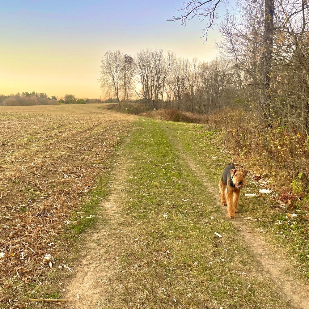 Meet your Posher, Victoria